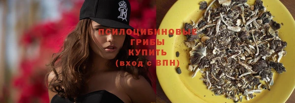 сатива Богородицк