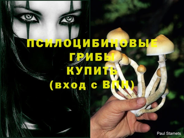 марихуана Бородино